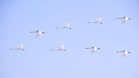 《宇宙机器人》港服预购开启 标准版定价468港币